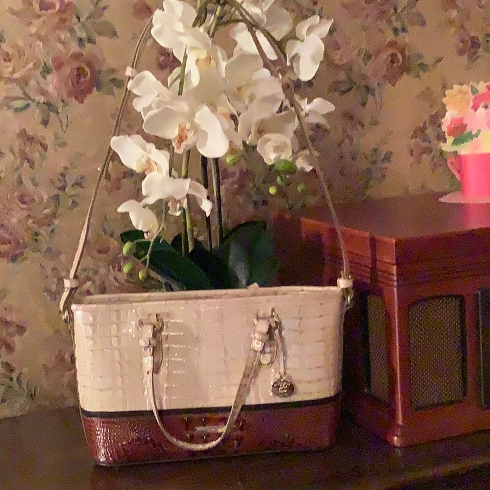 Brahmin